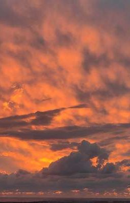 Медальон Жизни