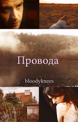 Провода