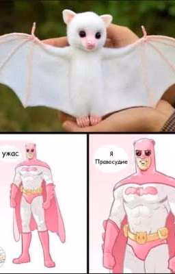 хочем узнать ваше мнение