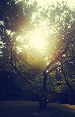 Fell 