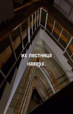 их лестница наверх.