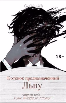 Котёнок Предназначенный Льву