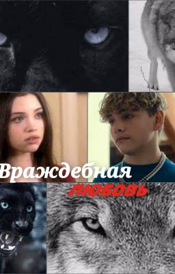 Враждебная любовь