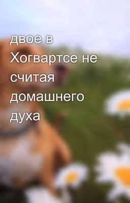 двое в Хогвартсе не считая домашнего духа