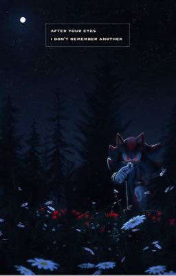 AFTER YOUR EYES I DON'T REMEMBER ANOTHER||ШЭДОУ