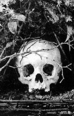 Не мятная сказка