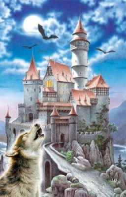 Академия магии