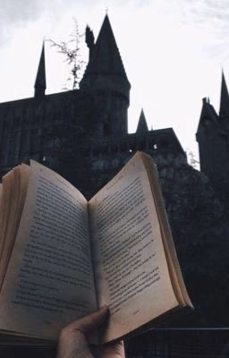 You and HarryPotterWorld