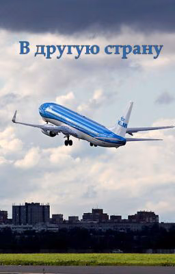 В другую страну
