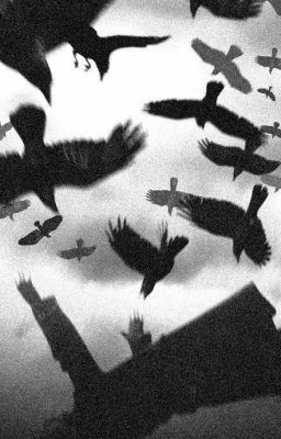 Дневник господина K.🔪