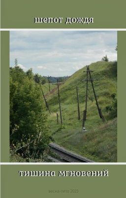 шепот дождя. тишина мгновений
