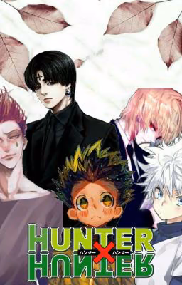 Где Я ? В смысле в аниме Hunter x Hunter !?