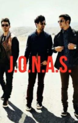 Интересные Факты О Jonas Brother's
