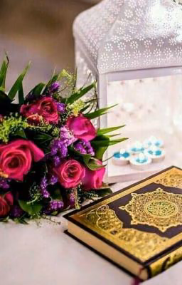 Dinim Islam☺