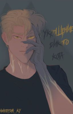 Укрощение дикого кота