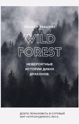 Wild Forest: Dragon Paradise
