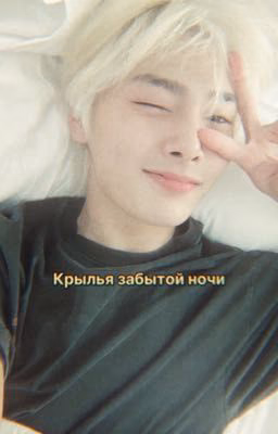 Крылья забытой ночи.                       Ян Чонин