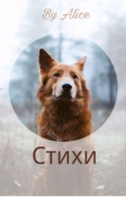 Стихи