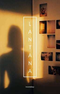 «Lantana» | Pharaoh