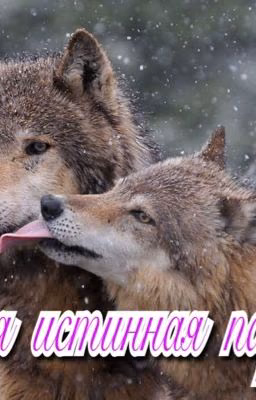 Моя истинная пара.
