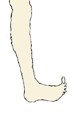 Я - левая нога