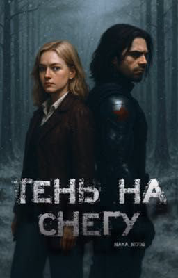Тень на снегу