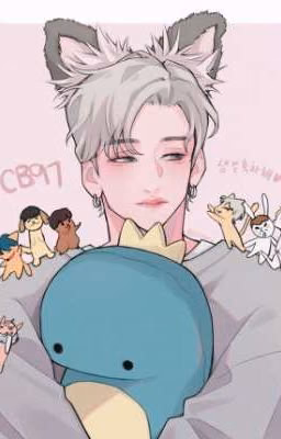 Stray Kids Stories