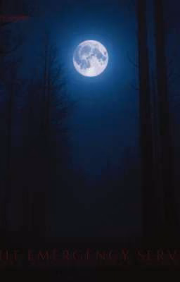 Night Emergency Service (N.E.S)