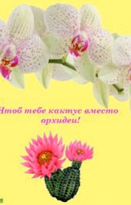Чтоб тебе кактус вместо орхидеи!