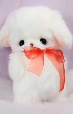 my daddy Winnie 