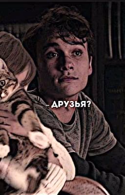 Друзья?