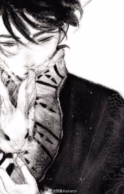 BL NOVELS \\ прочитанные новеллы.