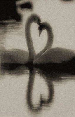 Созвездие любви.Дети леса