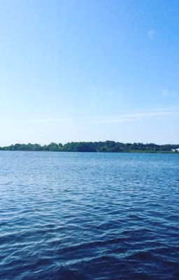 Легкая жизнь