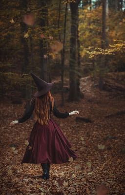 Академия волшебников или история о том как я стала ведьмой