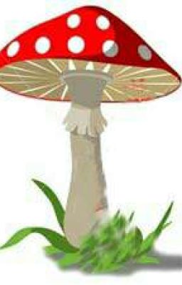 Мистерии мухомора