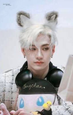 реакции stray kids