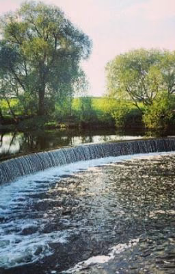Водопад любви