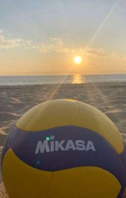 волейбольный мяч  🏐