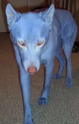 Почему не танцуешь?