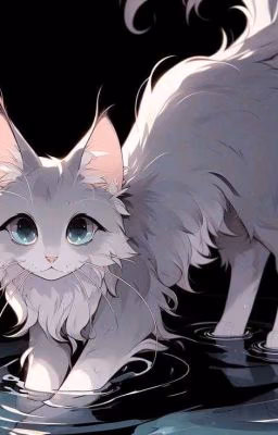 котик Бонтен