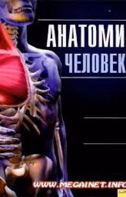 Тело человека!
