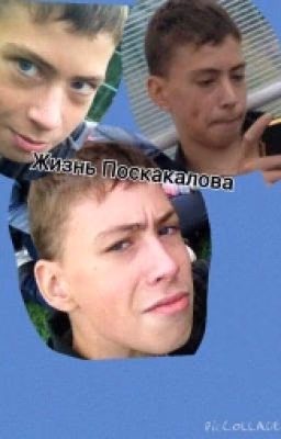жизнь поскакалова