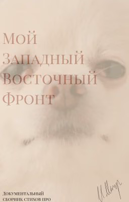 Мой Западный Восточный Фронт