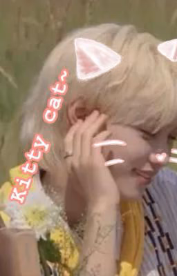 Kitty cat~