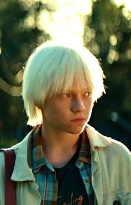 Белый котëнок