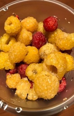 Бойкая девчонка. Лотос на ее руке(Фанфик по Нане)