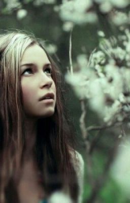 Зачарованный лес.