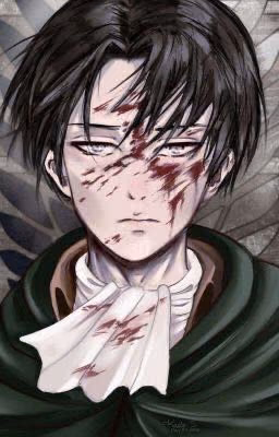 Мой командир