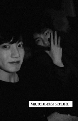 Маленькая жизнь 